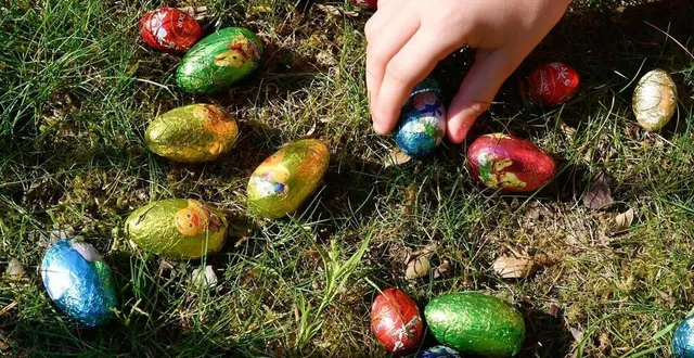 photo  plusieurs chasses aux œufs sont organisées autour d’alençon (orne) pour pâques 2025 (photo d’illustration).  &copy;  franck dubray / archives ouest-france 
