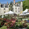 photo quelque 70 exposants sont attendus à la fête des plantes, ce week-end des 19 et 20 avril au château de courtanvaux, à bessé-sur-braye.