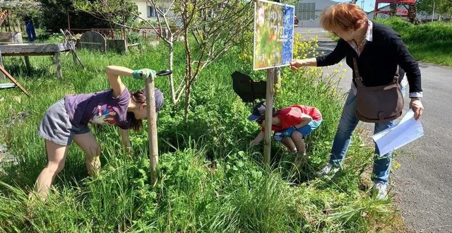 photo  léana et mathis en train de désherber autour des plants de mélisse.  &copy;  uest-france 