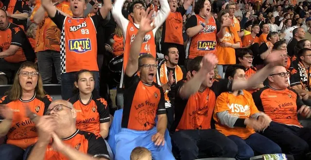 photo  les félins, supporters du msb, lors du match contre strasbourg, samedi dernier, à antarès. samedi prochain, la meute file à paris pour la finale de la coupe de france de basket.  &copy;  ouest-france 