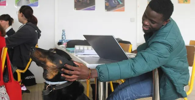 photo  rafal se laisse facilement caresser par les élèves et leur offre une forme de respiration en classe.  &copy;  ouest-france 