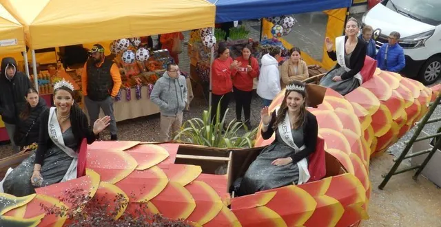 photo  un brin de soleil a accompagné le passage des majestés candéennes lors du carnaval de candé.  &copy;  co 