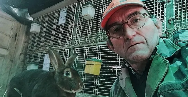 photo  philippe legros se passionne depuis près de 15 ans pour le lapin rex.  &copy;  le maine libre 