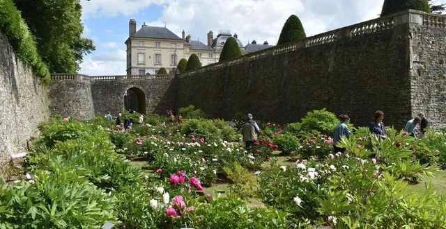 photo  les douves abritent plus de 3 200 variétés de pivoine.  &copy;  archives le maine libre 
