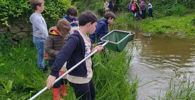 photo  les élèves découvrent la faune de la rivière layon à thouarcé.  &copy;  co 