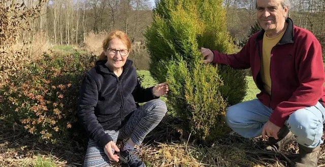 photo  roselyne et jean-marc bihoreau ont choisi d’ouvrir leur terrain aux randonneurs. à côté de l’étang qu’ils ont fait creuser il y a une quinzaine d’années, ils viennent de planter une quarantaine d’arbres. et ce n’est qu’un début.  &copy;  le maine libre 