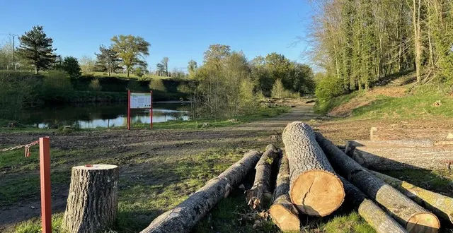 photo  une centaine d’arbres vont être abattus autour du plan d’eau de saint-fraimbault, dans l’orne.  &copy;  ouest-france 