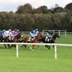 photo sept courses de plat sont au programme de cette première réunion de l’année 2025 sur l’hippodrome de sablé-sur-sarthe, dimanche 27 avril.