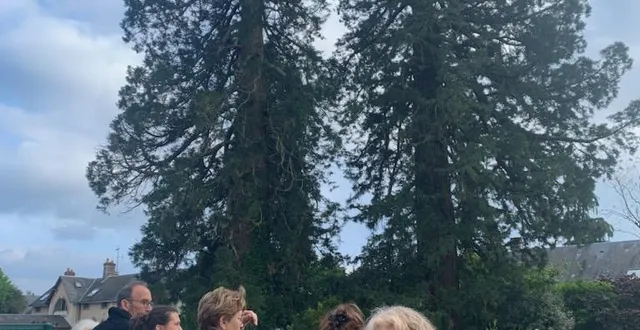 photo  à l’arrière-plan, les deux séquoias visés par un abattage. à droite, annick philippe, représentante sarthoise de la gnsa (groupe national de surveillance des arbres).   &copy;  le maine libre 