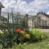 photo  alençon est labellisée trois fleurs. 