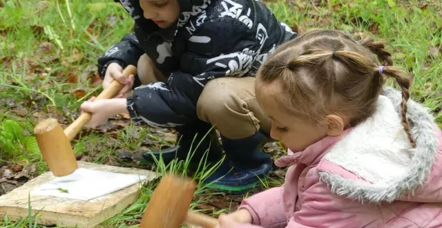 photo  une semaine zéro écran qui a débuté en forêt.  &copy;  le maine libre 
