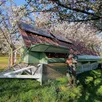 photo jérémy hervieu près de son poulailler mobile, sous les pommiers.