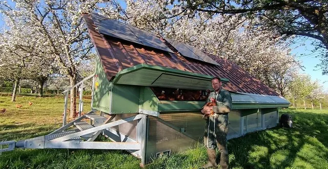 photo  jérémy hervieu près de son poulailler mobile, sous les pommiers.  &copy;  ferme hauts monts 