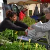 photo parcé-sur-sarthe. premier marché d’été 