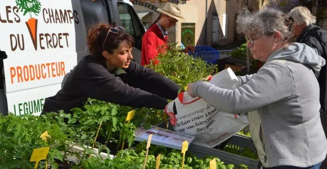 photo parcé-sur-sarthe. premier marché d’été  &copy;  le maine libre 