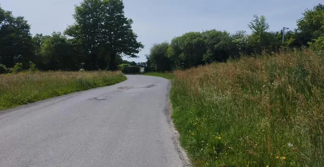 photo  le chemin du frêne conduit à l’orée du massif forestier de nuaillé. la future aire de pique-nique longera ce chemin par la droite, en allant vers la forêt.  &copy;  ouest-france 