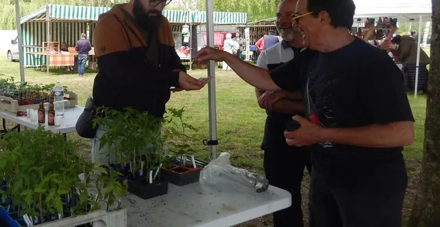 photo  un maraîcher proposait des plants de légumes.  &copy;  le maine libre 
