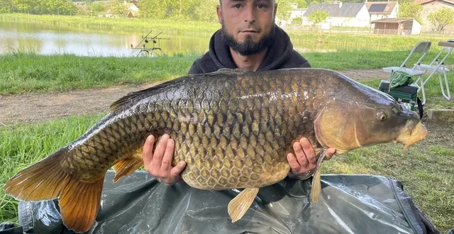 photo  une prise d’exception : jason vitrolle pose avec sa carpe commune de 22 kg, rareté dans un plan d’eau de 1,3 hectare.   &copy;  le maine libre 