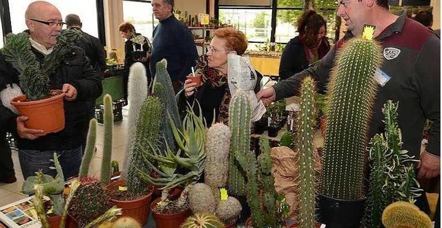 photo  une précédente foire aux cactus à tiercé  &copy;  archives co 