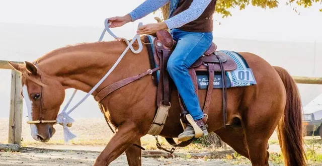 photo  jean-pierre bès et sa monture.  &copy;  le maine libre 