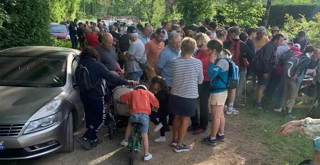 photo  120 adultes et 30 enfants ont participé au rallye du comité des fêtes.  &copy;  ouest-france 