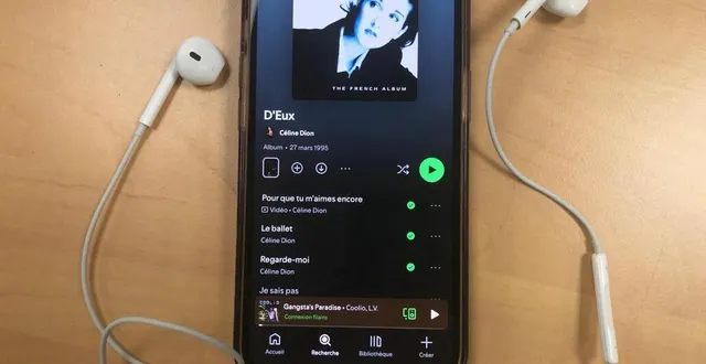 photo  en 1995, céline dion a connu un grand succès avec l’album d’eux.  &copy;  le maine libre 