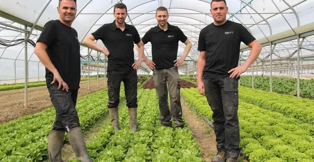 photo  au dernier recensement, on comptait 653 producteurs de légumes dans le maine-et-loire. de gauche à droite : philippe renou, tanguy renou, morgan renou et dorian chéné, associés du gaec des primeurs 49, à la poitevinière.  &copy;  ouest-france. 