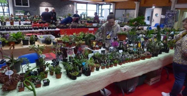 photo  les visiteurs se sont promenés au milieu des plantes.  &copy;  co 