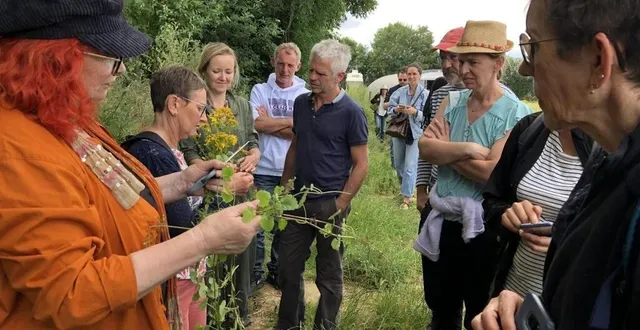 photo  noémie vialard, spécialiste du potager et des plantes proposera une dégustation de plantes sauvages et sera en dédicace à flers, dans l’orne, samedi 10 mai 2025.  &copy;  archives / ouest-france 
