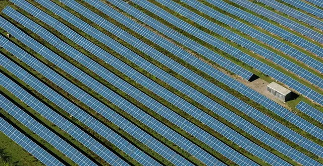 photo  à vaudelnay, en maine-et-loire, les promoteurs d’un projet de ferme photovoltaïque ont dû sérieusement revoir leur copie à la baisse pour préserver une plante rare (photo d’illustration).  &copy;  archives ouest-france 