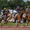 photo neuf courses sont au programme de cette 5e réunion de l’année sur l’hippodrome des hunaudières au mans dont une, la première, au trot monté.