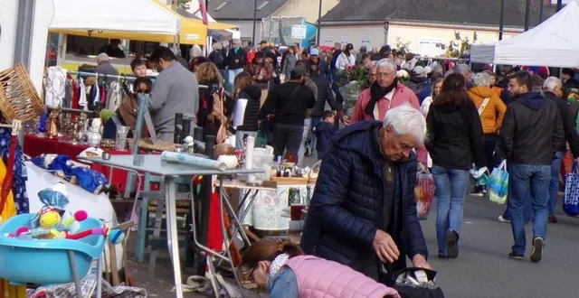 photo  le bric-à-brac a fait le bonheur des chineurs  &copy;  le maine libre 