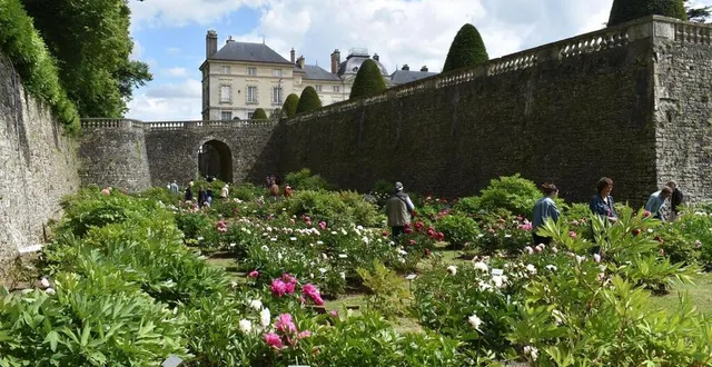 photo  le conservatoire des pivoines sera ouvert tout le week-end.  &copy;  archives le maine libre 