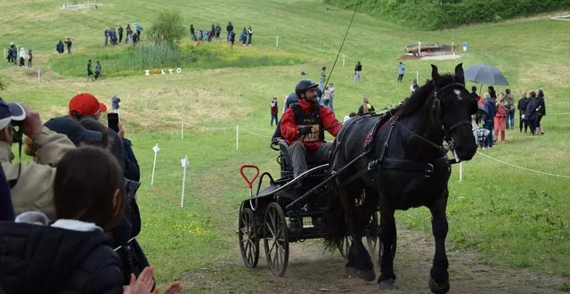 photo  le dimanche, deux autres épreuves différentes de la course d’orientation étaient ouvertes au public, venu en nombre, avec une manche du championnat de normandie de trec en attelage.  &copy;  ouest-france 