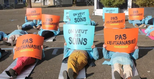 photo  une vingtaine de manifestants ont pris part à l’action de l’association alliance vita, lundi 12 mai 2025, à sablé-sur-sarthe.  &copy;  ouest-france 