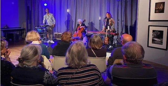 photo  environ 80 personnes ont assisté au concert de daisiesfields.  &copy;  le maine libre 