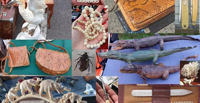 photo  une centaine d’objets ont été saisis le week-end dernier à la foire des andaines, dans l’orne.  &copy;  ofb 