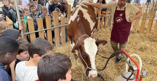 photo  le public pourra assister à la démonstration d’une traite d’une vache.  &copy;  archives ouest-france 