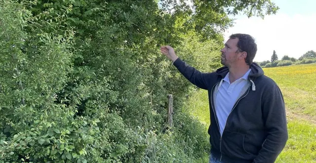 photo  aymeric chaumont est éleveur en sarthe, à rouez. ses haies bocagères serviront à alimenter, à terme, un des réseaux de chaleur du mans, qui desservira notamment l’hôpital.  &copy;  ouest-france 