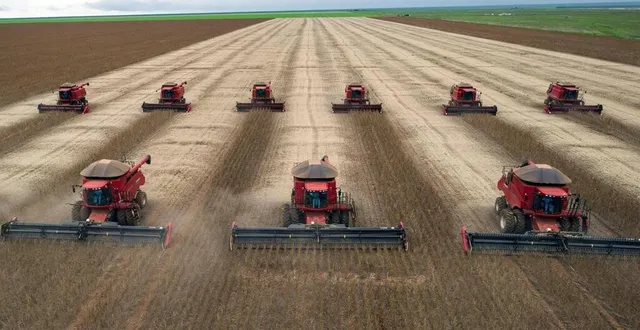 photo  les travaux de la microbiologiste brésilienne mariangela hungria ont permis au pays de devenir le premier producteur mondial de soja. photo d’illustration.  &copy;  yasuyoshi chiba / archives afp 