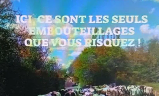 photo  ce flyer sera adressé par courriel à 1 100 médecins généralistes d’île-de-france.  &copy;  ouest-france 