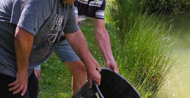 photo  quinze bénévoles motivés ont déversé 100 kg.  &copy;  le maine libre 