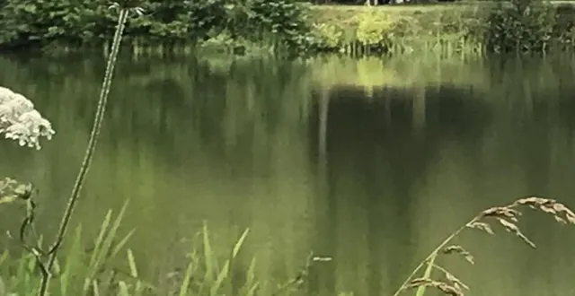 photo  le plan d’eau, où se déroulera une partie des festivités.  &copy;  ouest-france 