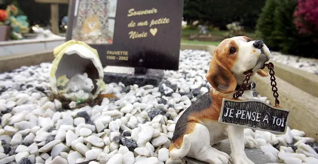 photo  certains clients ignorent ce que sont devenus les corps de leurs animaux.  &copy;  archives afp – photo d’illustration 