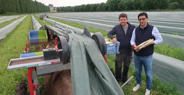 photo  mazé, le 12 mai 2025. le maraîcher kévin masse et le directeur commercial de fleuron d’anjou, brahim el hasnaoui, dans l’aspergeraie bio située sur les terres de montgeoffroy, que les visiteurs pourront découvrir ce samedi.  &copy;  co – agathe le nueff 