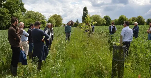 photo  la visite de terrain a permis à jérôme de diguerès de montrer le travail réalisé.  &copy;  ouest-france 