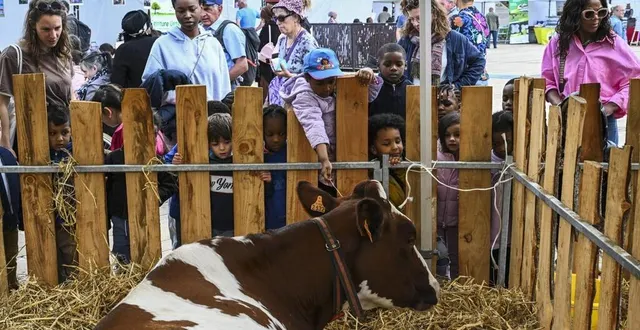 photo  ce samedi, la ferme naturell’mans (déjà présente hier) sera installée sur la place de la république, au mans.  &copy;  archives le maine libre - denis lambert 