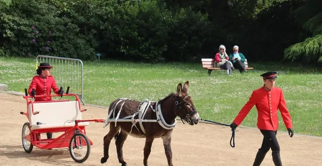 photo  jeudi, à l’issue d’une conférence de presse autour de la 55e édition de l’equirando, qui aura lieu en juillet à bagnoles-de-l’orne-normandie, une présentation d’un âne normand tirant une escargoline.  &copy;  ouest-france 