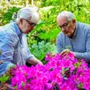 photo  au jardin du petit bordeaux, le couple berrou est aux petits soins d’un magnifique jardin. 