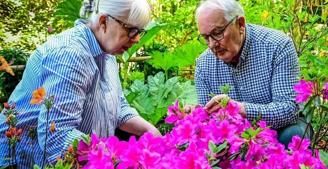 photo  au jardin du petit bordeaux, le couple berrou est aux petits soins d’un magnifique jardin.  &copy;  photo le maine libre - yvon loué 